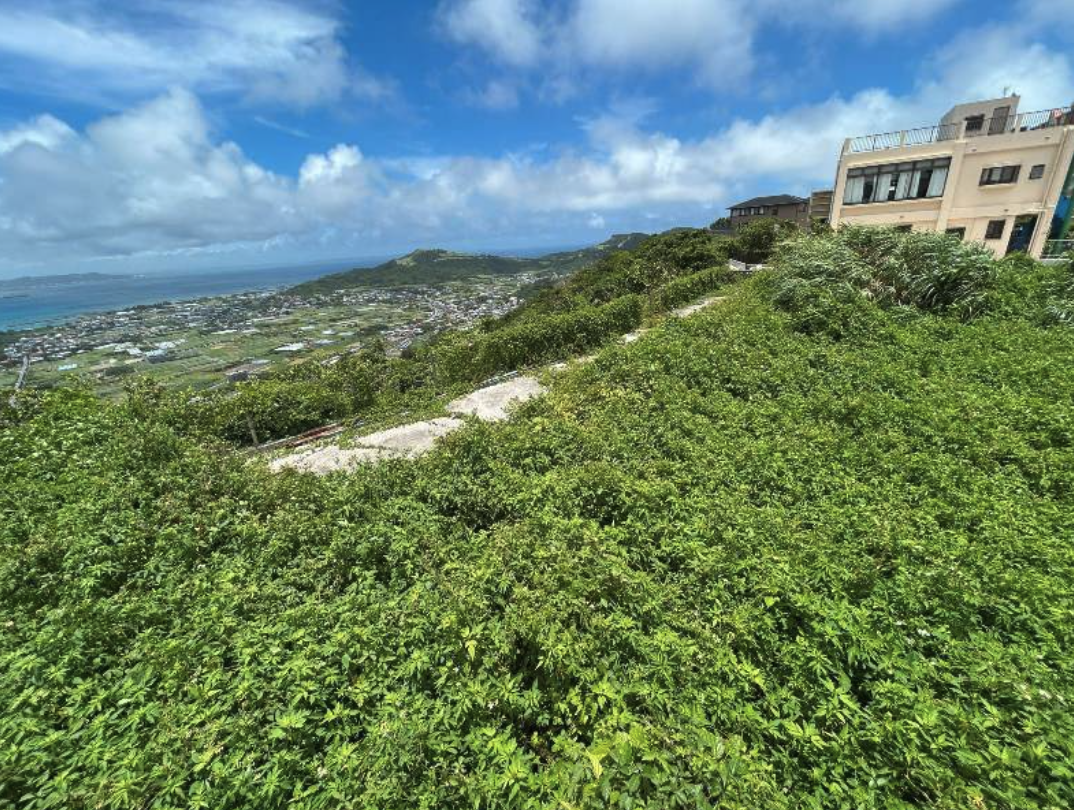 2026-02-18 4.12.48001