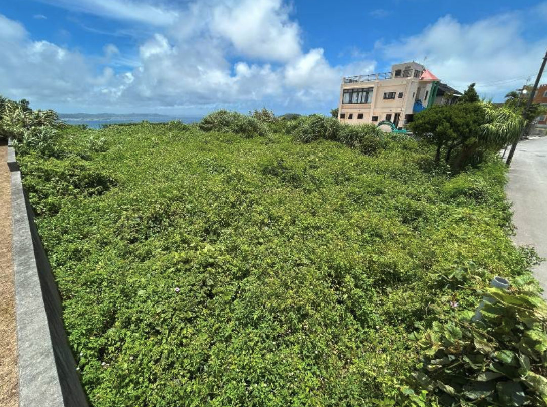 2026-02-18 4.13.04001